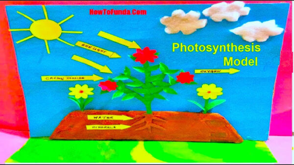 Photosynthesis Model